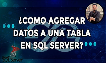 ¿Cómo agregar datos a una tabla en SQL Server?